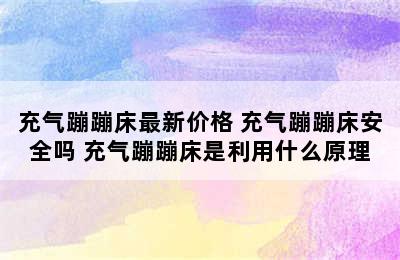 充气蹦蹦床最新价格 充气蹦蹦床安全吗 充气蹦蹦床是利用什么原理